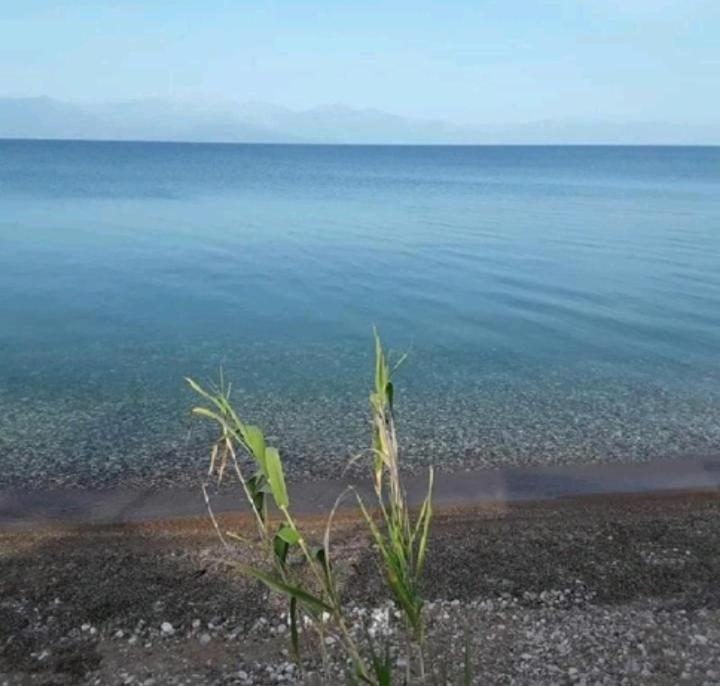 Golden Sea Villa Kalamata Dış mekan fotoğraf