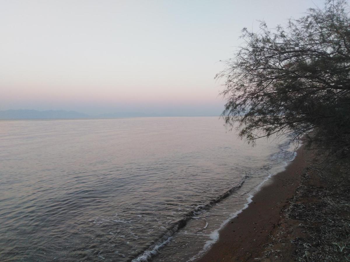 Golden Sea Villa Kalamata Dış mekan fotoğraf